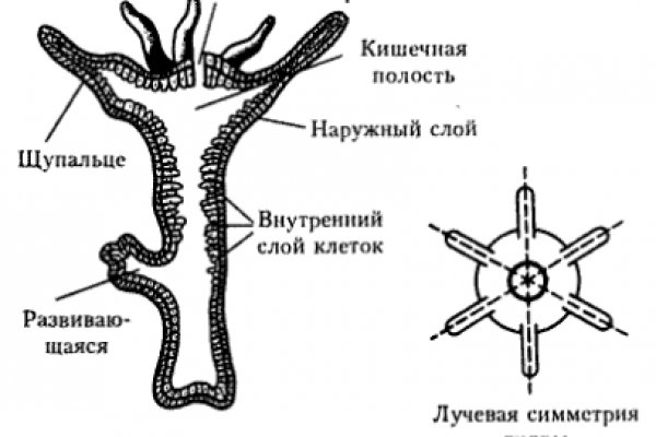 Площадки в даркнете