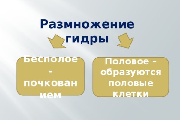 Сайт кракен зайти